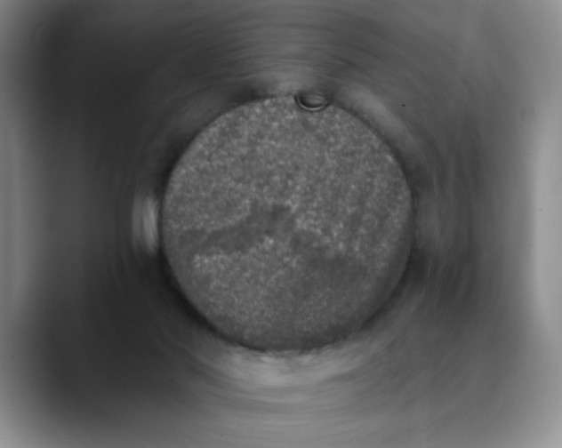 X0000089830022200707191834