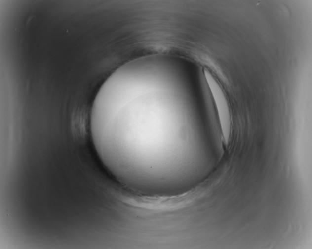 X0000089830023200707191834