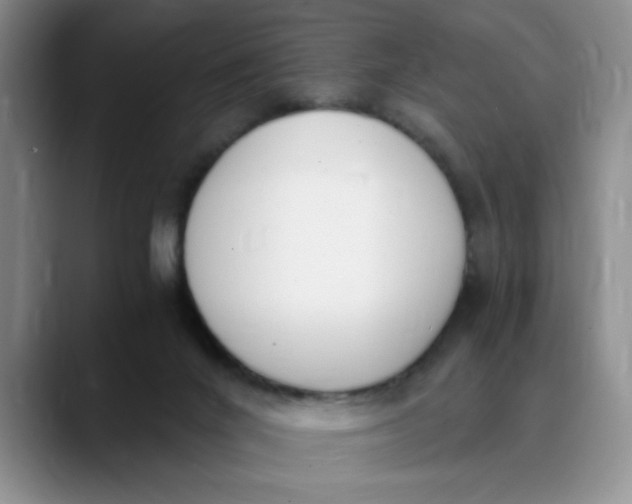 X0000089830024200707191834