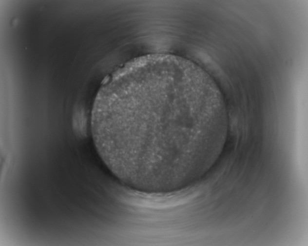 X0000089830026200707191834