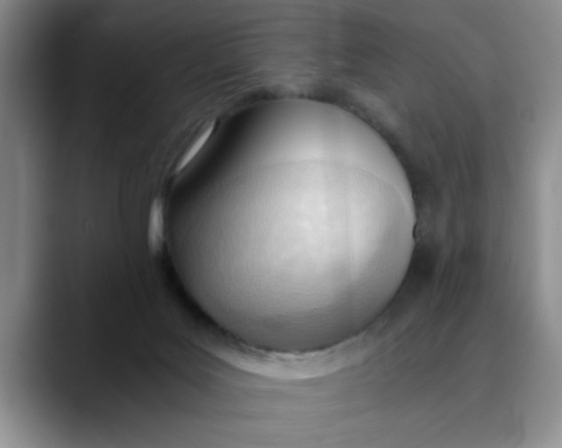 X0000089830027200707191834