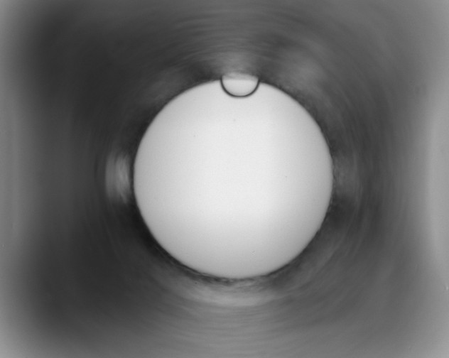 X0000089830028200707191834