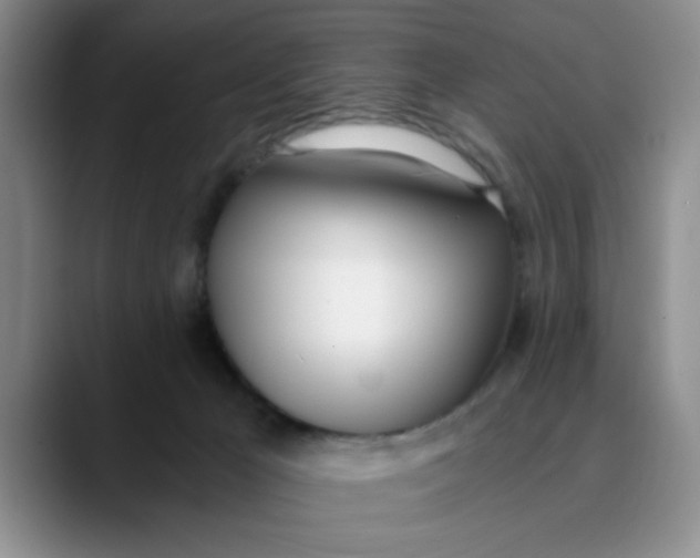 X0000089830029200707191834