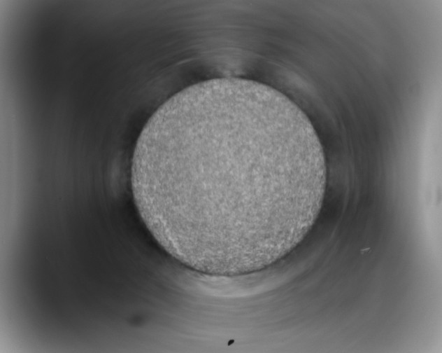 X0000089830030200707191834