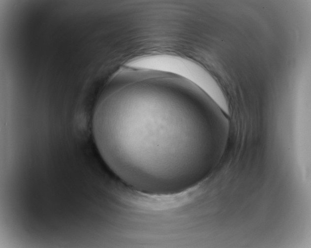 X0000089830031200707191834