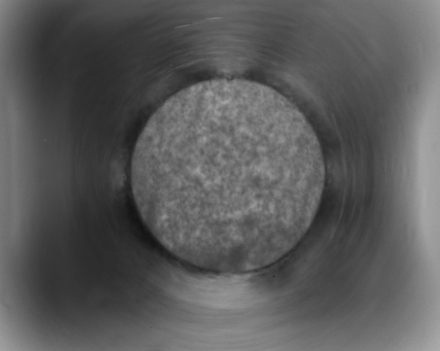 X0000089830032200707191834