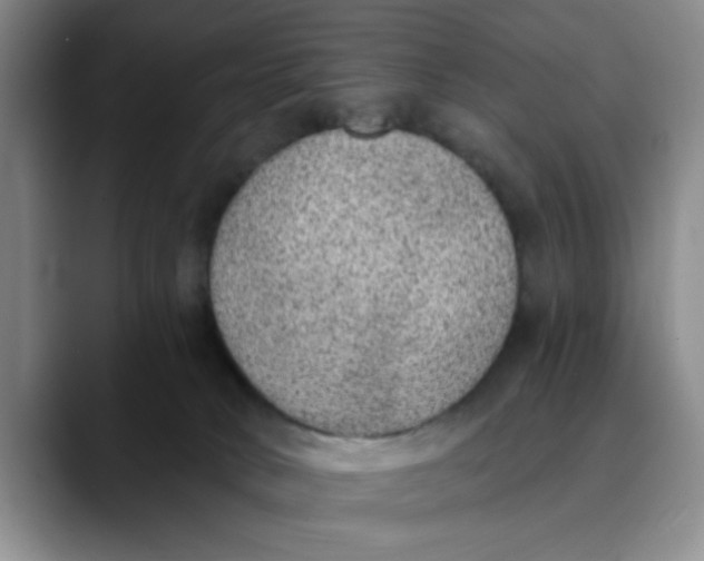 X0000089830034200707191834