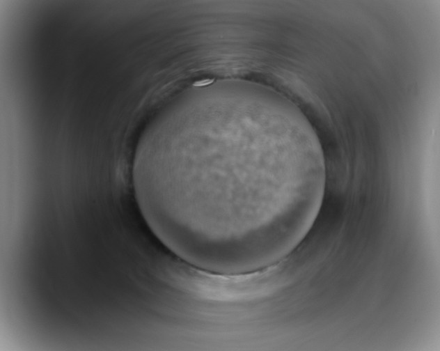 X0000089830035200707191834