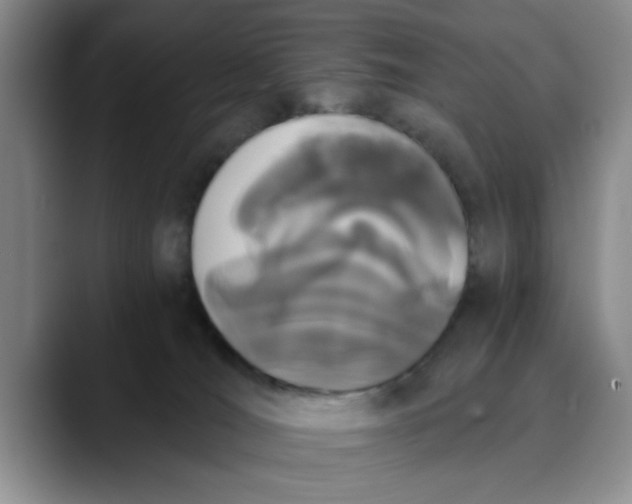 X0000089830036200707191834