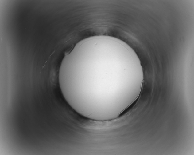 X0000089830037200707191834