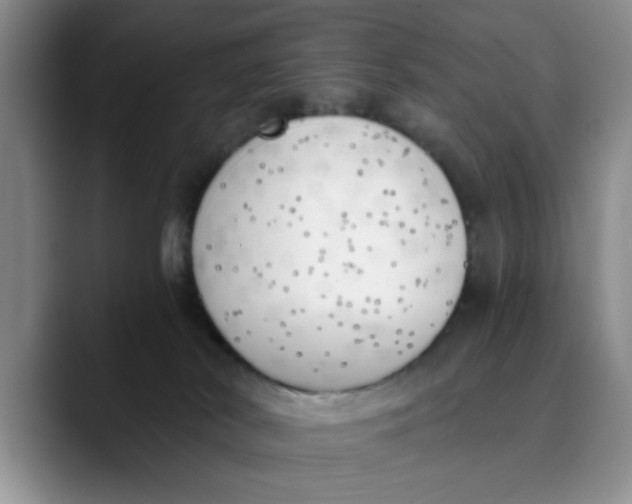 X0000089830038200707191834