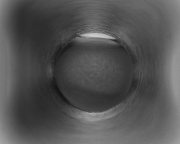 X0000089830039200707191834