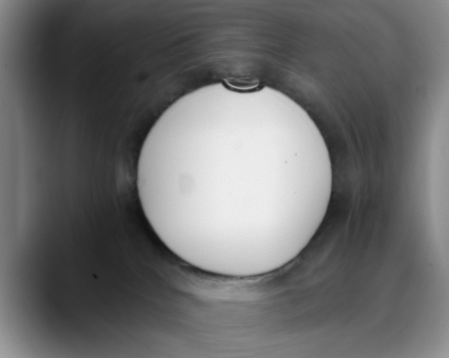 X0000089830040200707191834