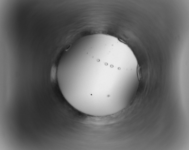 X0000089830041200707191834