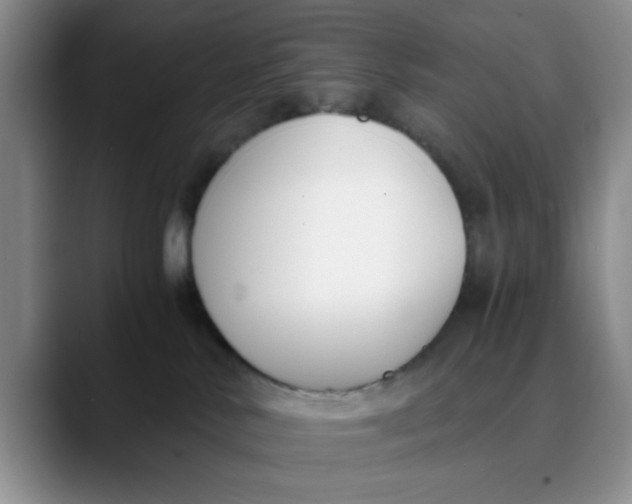 X0000089830042200707191834