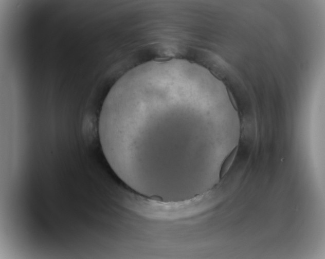 X0000089830043200707191834