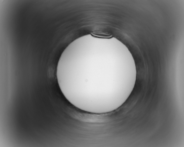 X0000089830044200707191834