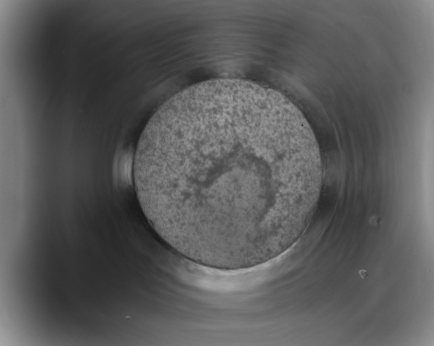 X0000089830047200707191834