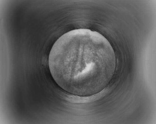 X0000089830048200707191834