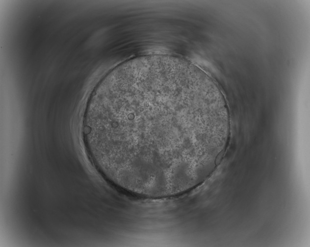 X0000089830049200707191833