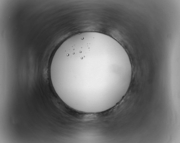 X0000089830050200707191833