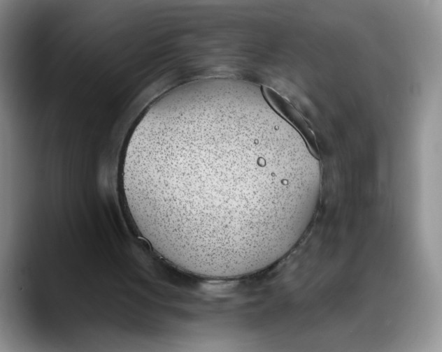 X0000089830051200707191833