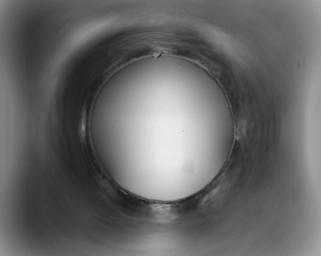 X0000089830052200707191833