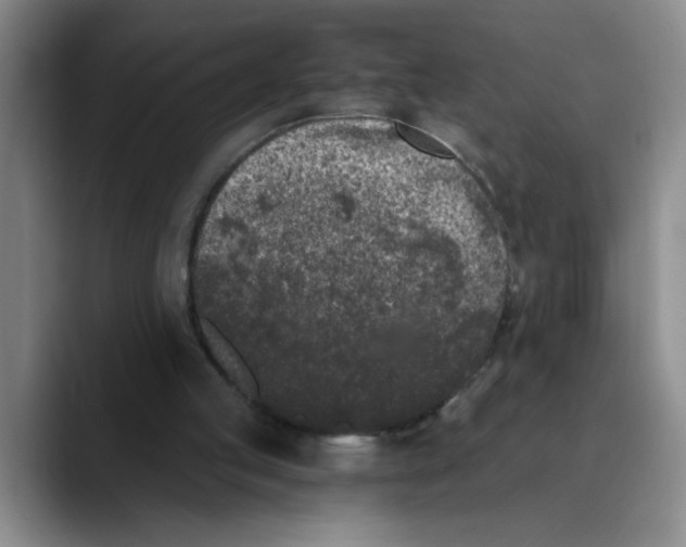 X0000089830053200707191833