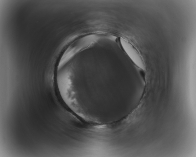 X0000089830054200707191833