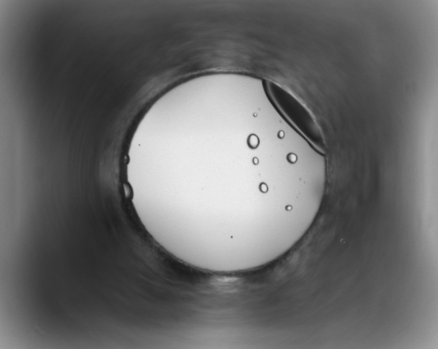 X0000089830055200707191833