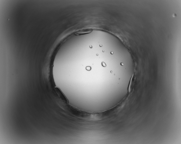 X0000089830056200707191833