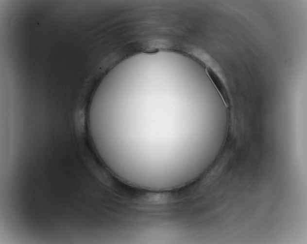 X0000089830057200707191833