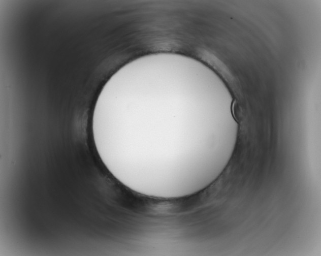 X0000089830058200707191833