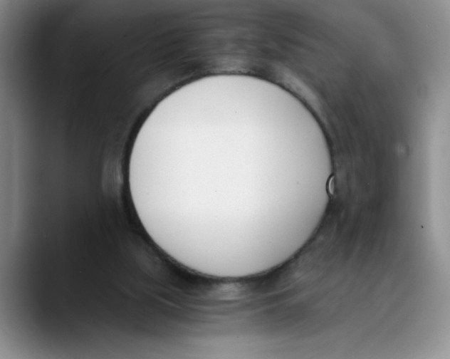 X0000089830059200707191833