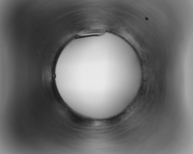 X0000089830060200707191833