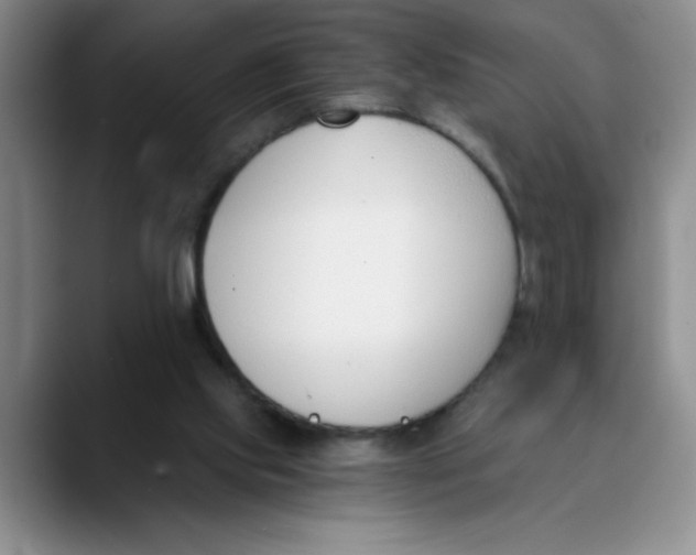 X0000089830061200707191833