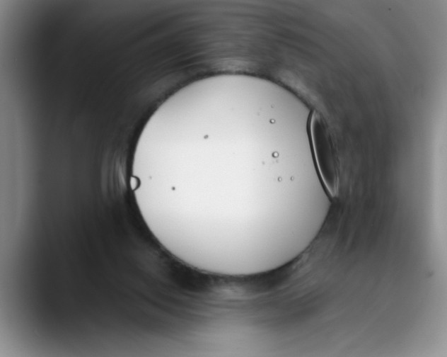 X0000089830062200707191833