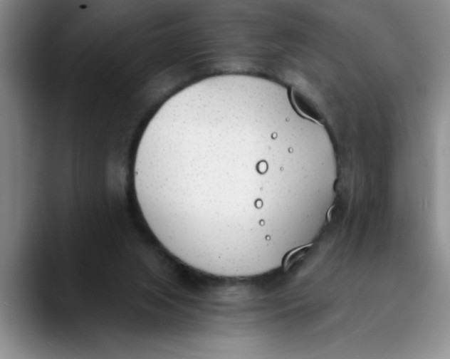 X0000089830063200707191833