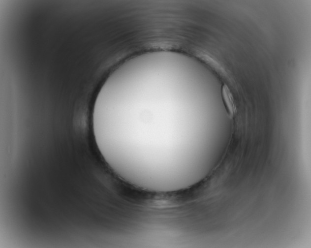 X0000089830064200707191833