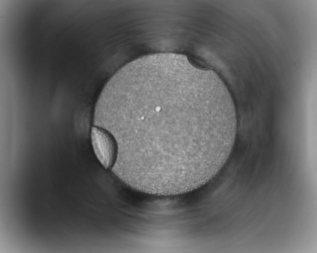 X0000089830065200707191833