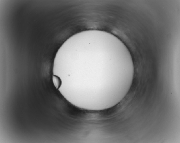 X0000089830066200707191833