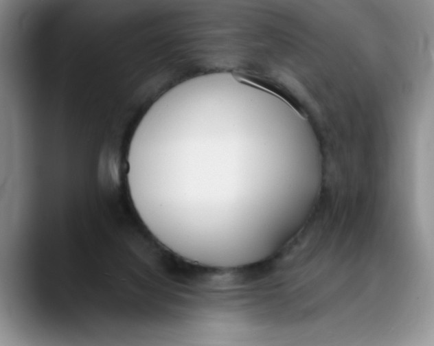 X0000089830068200707191833