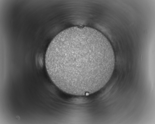 X0000089830069200707191833