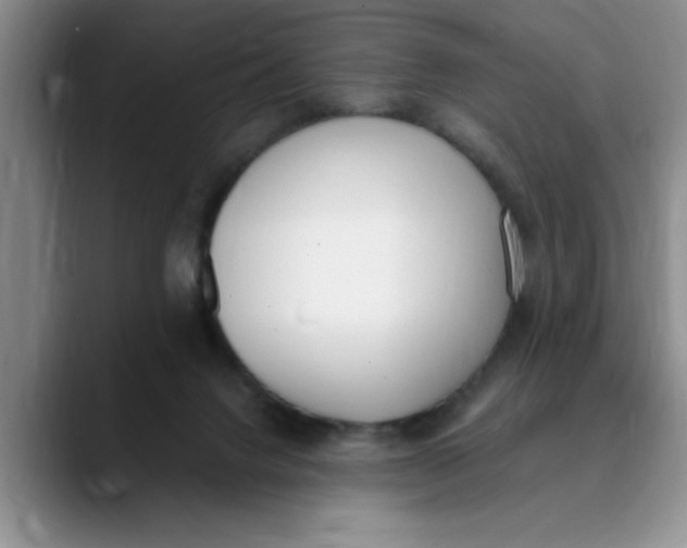 X0000089830072200707191834