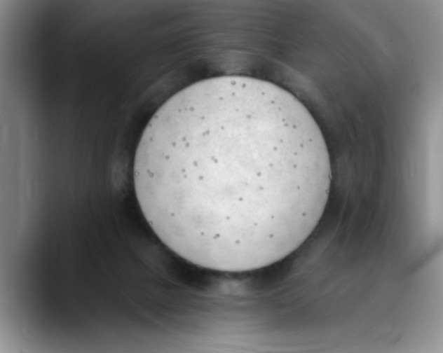 X0000089830073200707191834