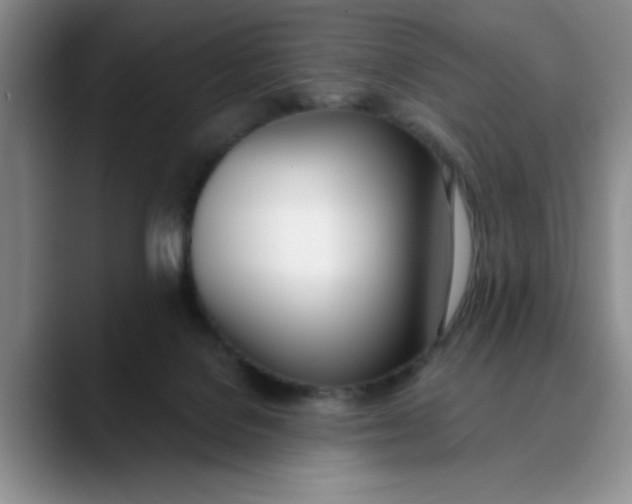 X0000089830076200707191834