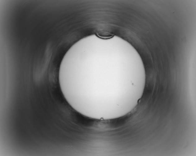 X0000089830078200707191834