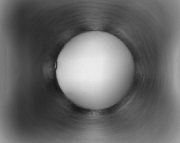 X0000089830080200707191834