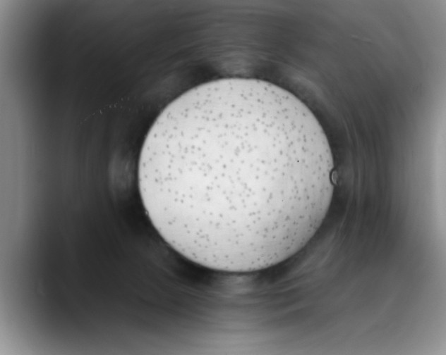 X0000089830081200707191834