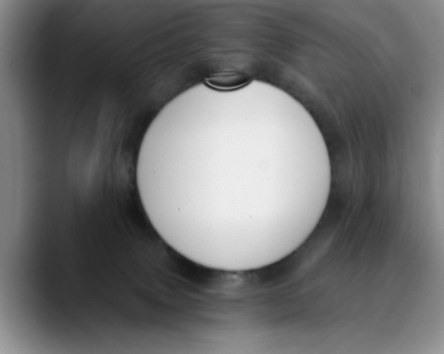 X0000089830083200707191834